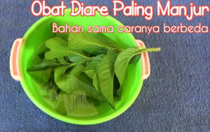 Obat Diare Alami