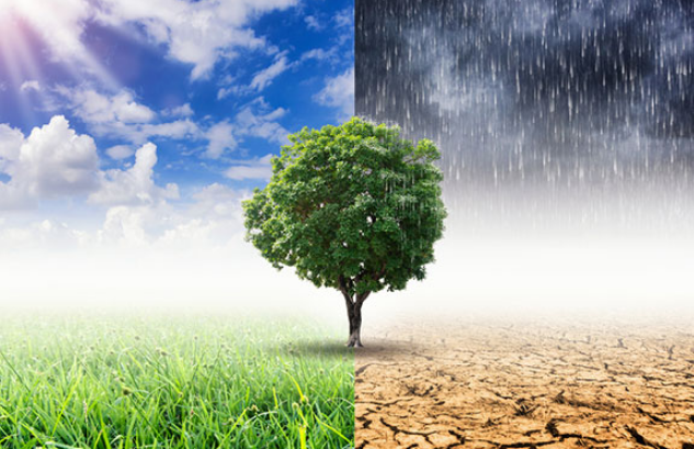 Perbedaan Iklim Tropis dan Iklim Subtropis