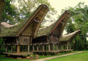 Tradisi Adat Istiadat Suku Toraja