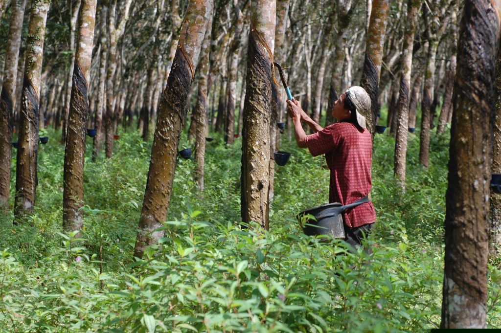 Sumber Daya Alam Yg Dapat Diperbaharui