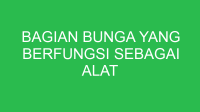 bagian bunga yang berfungsi sebagai alat perkembangbiakan generatif adalah 32876
