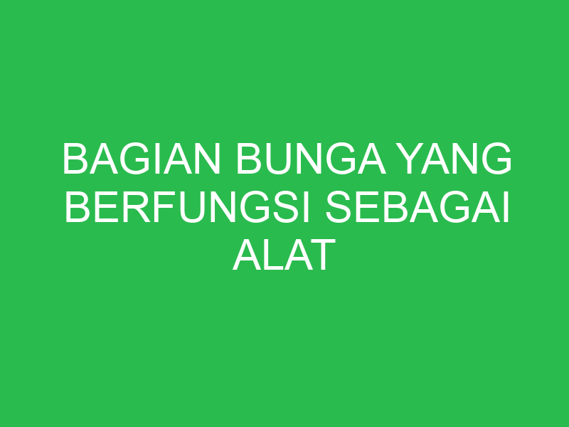 bagian bunga yang berfungsi sebagai alat perkembangbiakan generatif adalah 32876