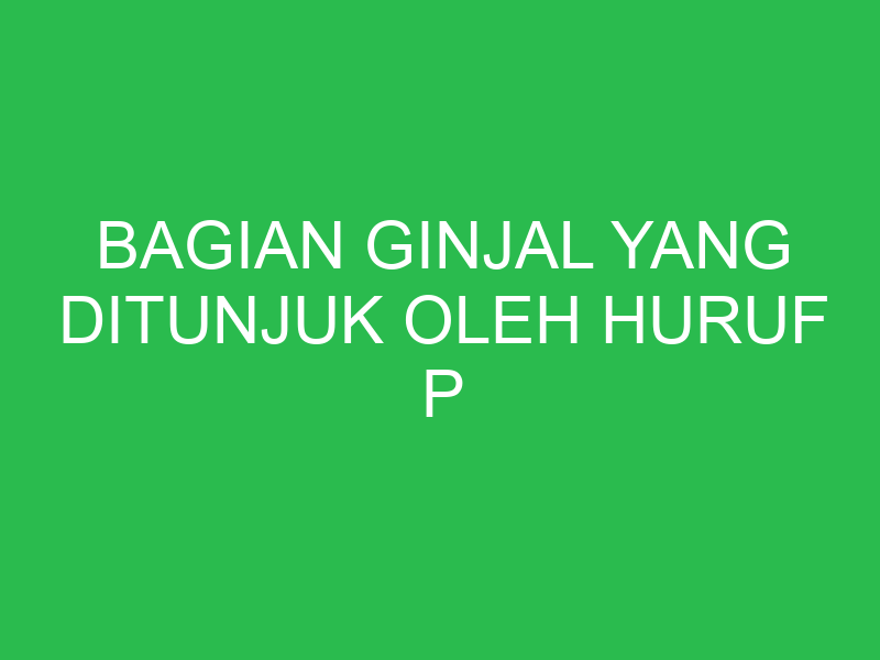bagian ginjal yang ditunjuk oleh huruf p berfungsi untuk proses 32779