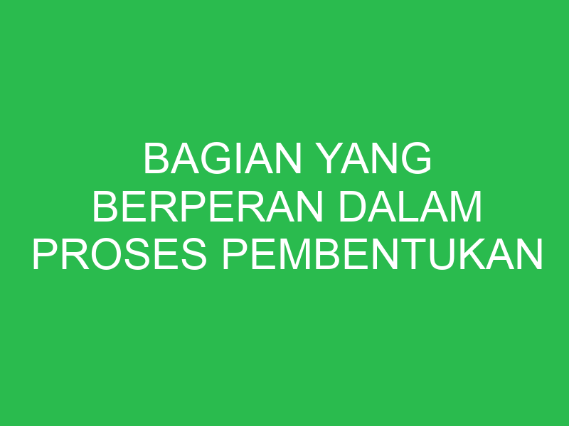 bagian yang berperan dalam proses pembentukan urin primer adalah 32855