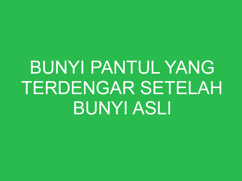 bunyi pantul yang terdengar setelah bunyi asli disebut 32917