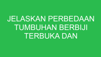 jelaskan perbedaan tumbuhan berbiji terbuka dan tumbuhan berbiji tertutup 32687