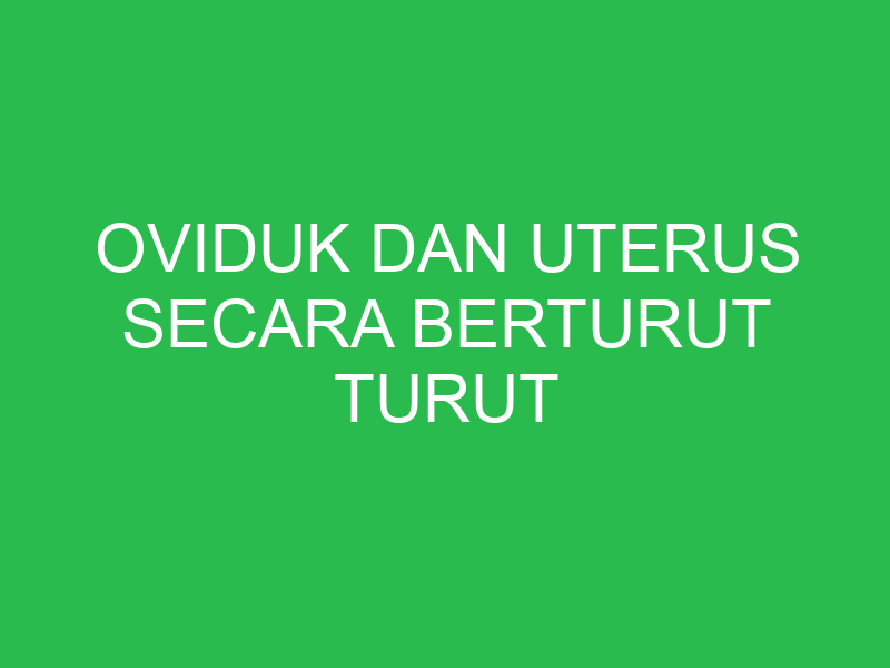 oviduk dan uterus secara berturut turut ditunjukkan oleh nomor 32812