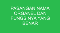 pasangan nama organel dan fungsinya yang benar adalah 32816