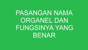pasangan nama organel dan fungsinya yang benar adalah 32816