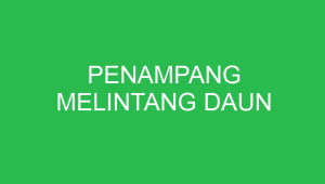 penampang melintang daun 32679