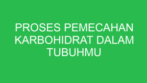 proses pemecahan karbohidrat dalam tubuhmu terjadi pada 32806