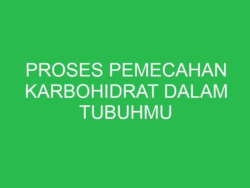 proses pemecahan karbohidrat dalam tubuhmu terjadi pada 32806