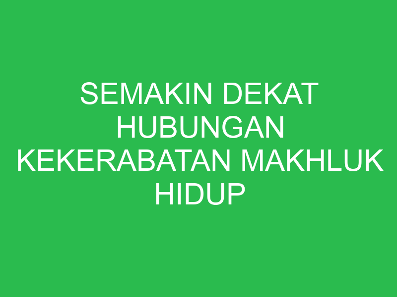 semakin dekat hubungan kekerabatan makhluk hidup semakin banyak 32760