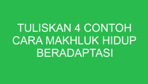 tuliskan 4 contoh cara makhluk hidup beradaptasi dengan lingkungannya 32817