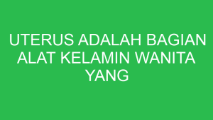 uterus adalah bagian alat kelamin wanita yang berfungsi sebagai tempat 2 32613