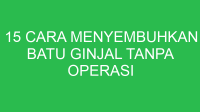 15 cara menyembuhkan batu ginjal tanpa operasi 1522