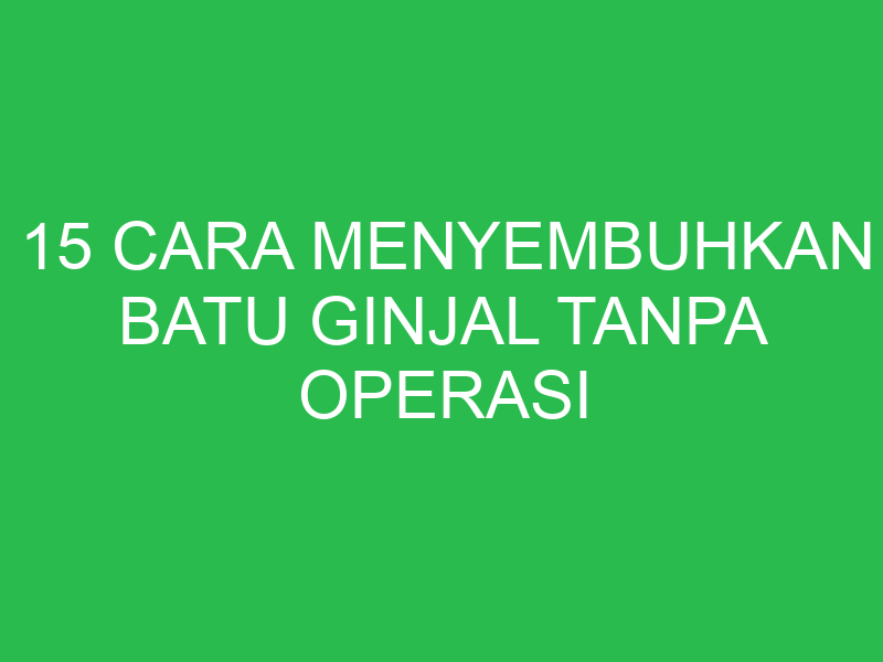 15 cara menyembuhkan batu ginjal tanpa operasi 1522