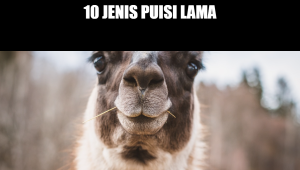 10 jenis puisi lama