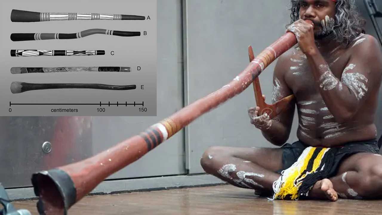 Didgeridoo Didgeridoo