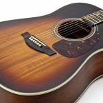 Gitar Akustik Dreadnought