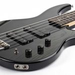 Gitar Bass Fretless