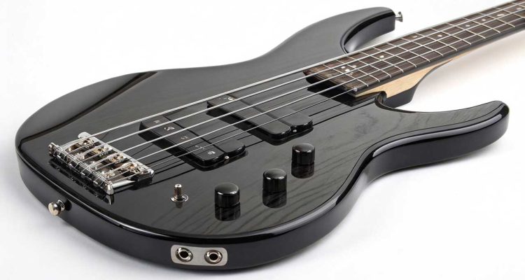 Gitar Bass Fretless