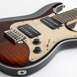 Gitar Elektrik 7 Senar