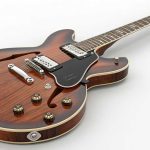 Gitar Elektrik Jenis Hollow Body