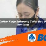 daftar kerja sekarang teller bca di bontang 1752911502