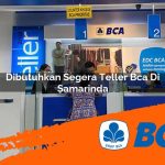 dibutuhkan segera teller bca di samarinda 1752910310