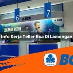 info kerja teller bca di lamongan 1752910782