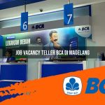 job vacancy teller bca di magelang 1752907542