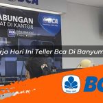 kerja hari ini teller bca di banyumas 1752906223