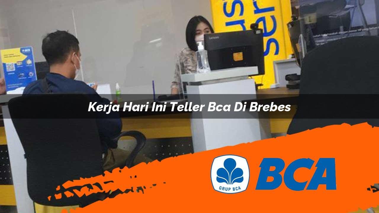 kerja hari ini teller bca di brebes 1752911382