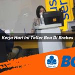 kerja hari ini teller bca di brebes 1752911382