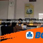 kesempatan kerja teller bca di mataram 1752912524