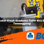 loker fresh graduate teller bca di temanggung 1752905864