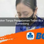loker tanpa pengalaman teller bca di sumedang 1752912823