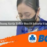 peluang kerja teller bca di jakarta utara 1752907424