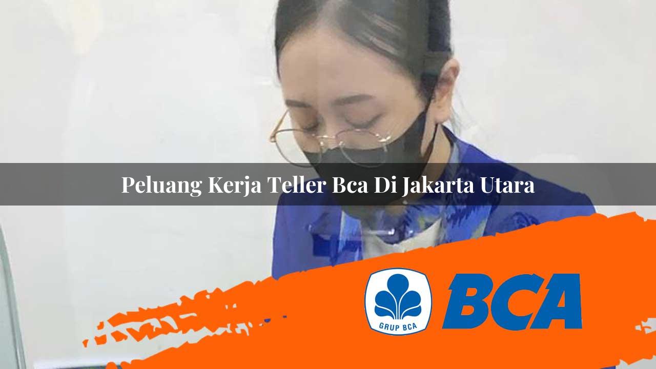 peluang kerja teller bca di jakarta utara 1752907424