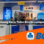 peluang kerja teller bca di lumajang 1752906942